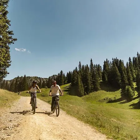Mermy Myb1 Nature & Telecabine 4 Pers * Châtel